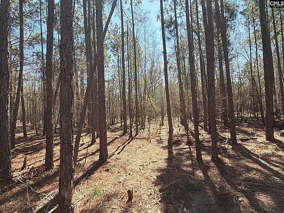 3rd image of Bhl 10 Boise Cascade Rd #Bhl-10