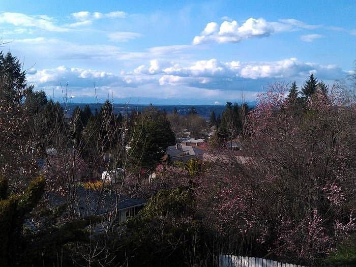 Fantasic View