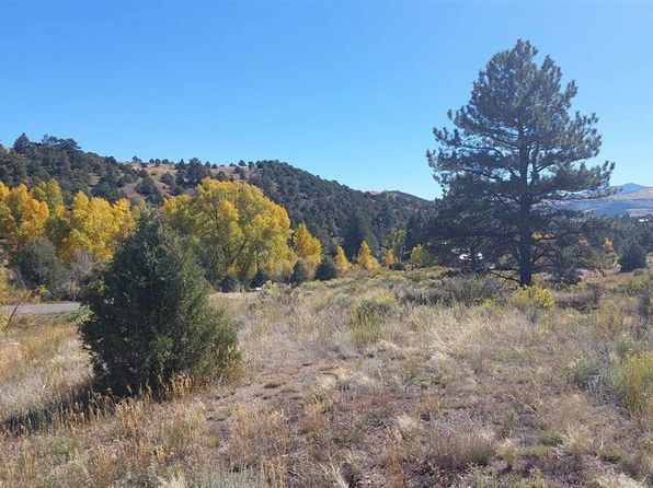 1685 Bear Creek Cir, South Fork, CO 81154