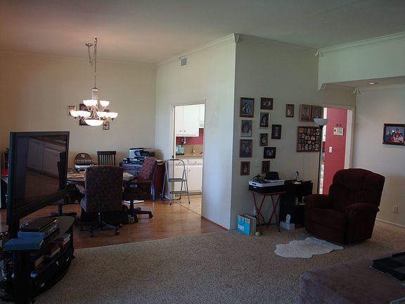 Bright Daytime Natural Light