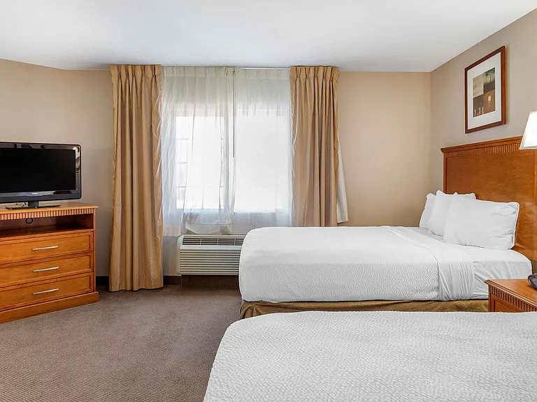 Studio Suite - 2 Full Beds