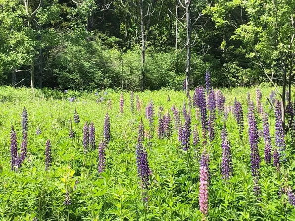 11C1 Old County Road, Bristol, ME 04558