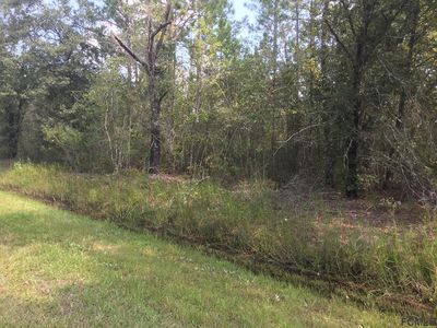 10260 Carpenter Ave, Hastings, FL, 32145