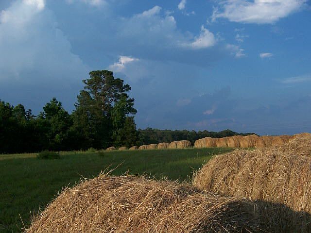 2nd image of 2686 Butts Mill Rd