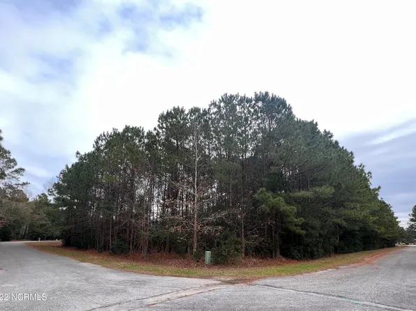 5205 Deerfield Lane, Oriental, NC 28571