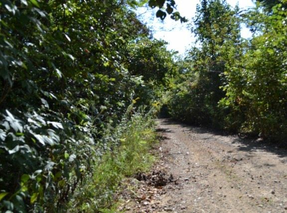 5th image of 3 Rock Springs Rd