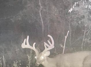 Lebanon Pinegrove Rd, Utica, MS 39175