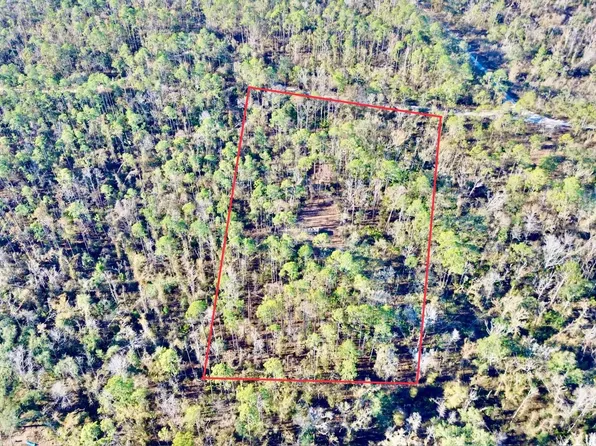 465 NE River Ridge Way, Lee, FL 32059