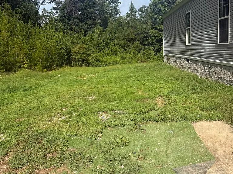 1375 Shinbone Ridge Rd — Photo 10