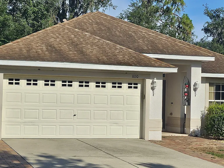 11110 Goldenrod Fern Dr — Photo 1