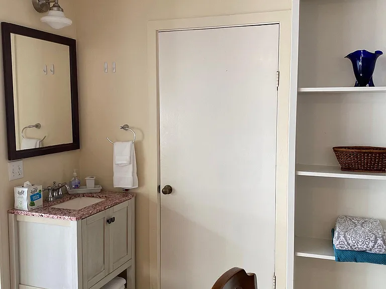 Vanity and door leading to stand up shower and toilet.