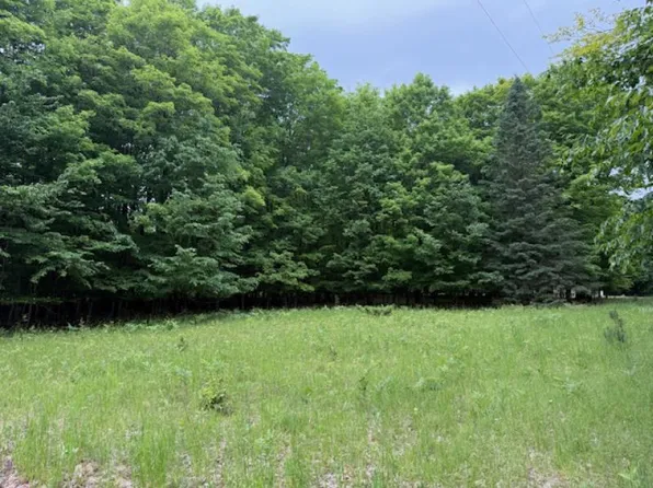 Tbd S Socia Rd, Drummond Island, MI 49726