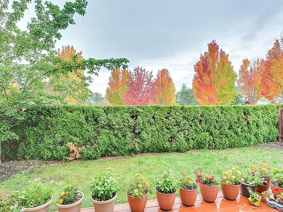 Backyard with a Huge Deck