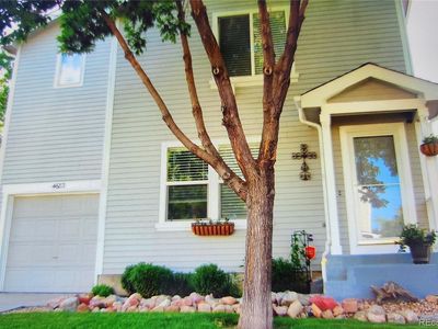 4683 S Simms Court, Morrison, CO, 80465