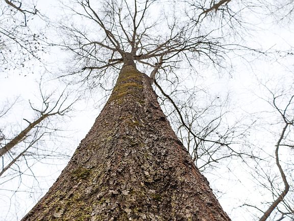 4th image of Jaril Rd