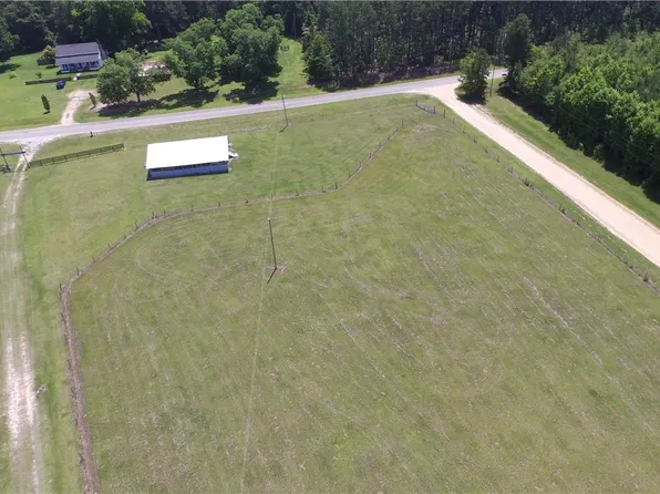 Lot 1 Ben Grady Collins Road, Portal, GA 30450