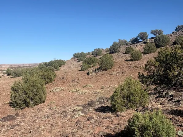 478 N8521, Concho, AZ 85924