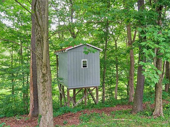 4th image of 5620 Pine Valley Dr