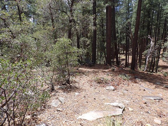 5th image of 18 E Pine Hollow Trl