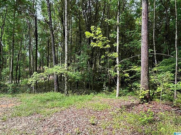 5th image of TRACT Two 343 County Rd #892