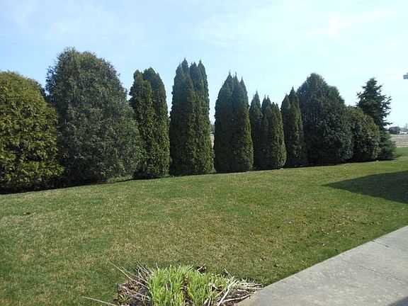 3rd image of 35 Norway Dr