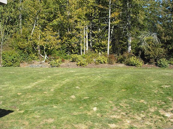 Landscaped Yard