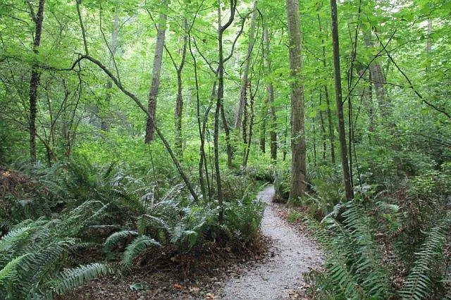 The unit is only 1 mile from the walking entrance to Carkeek Park. It has great great hiking and access to the puget sound. Perfect for runners/hikers.