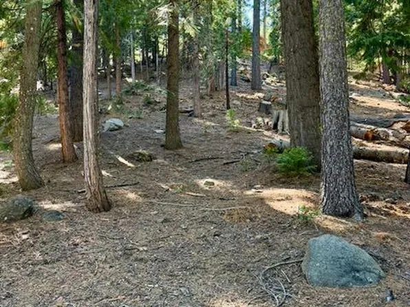 1534 Sierra Pkwy, Arnold, CA 95223