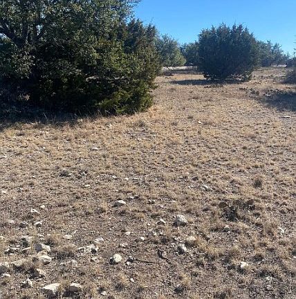 3rd image of 221 Turkey Run Rd