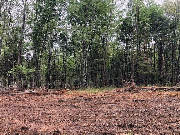 4th image of 7908 Bill Moss Rd