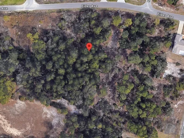 0 Eider Ave, Weeki Wachee, FL 34613