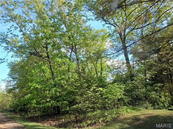 0 Rue Regina, Bonne Terre, MO 63628