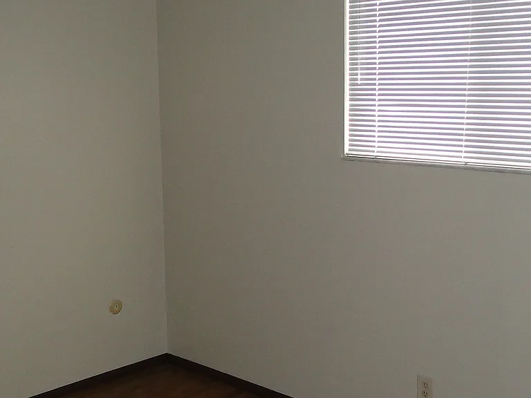 431 N Old Saint Louis Rd #431 — Photo 13
