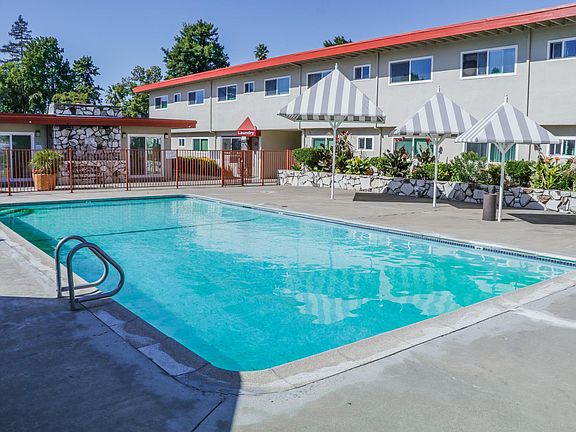 Sparkling extra large Pool