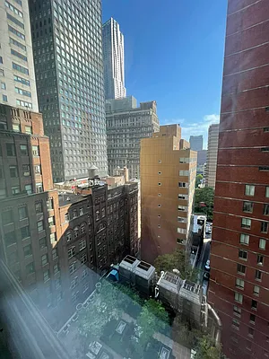 Rented by NY Living Solutions | media 15