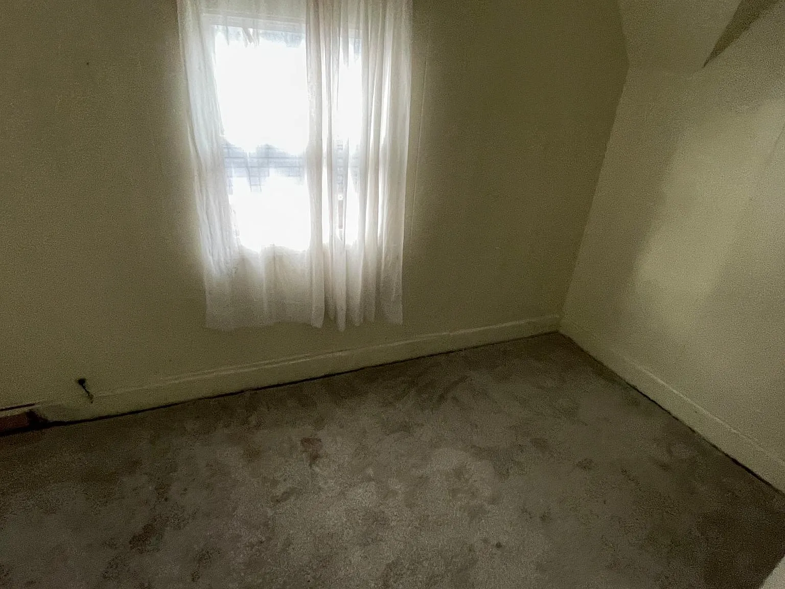 2 bed, $900 — Photo 4