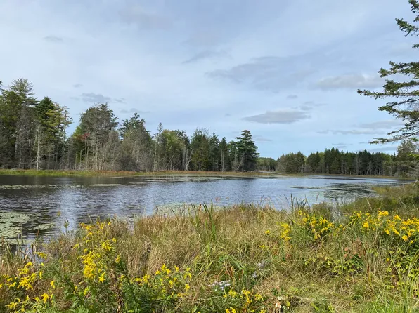 0 Route 1 Route, Gouldsboro, ME 04607