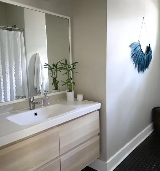 215 Lessin Ln — Photo 10