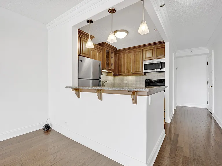 10 E Ontario St #3412 — Photo 5