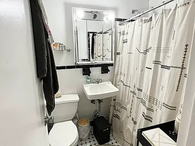 423 E 83rd St #2D — Photo 4