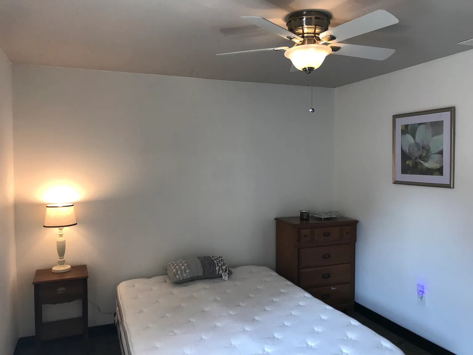 1 bed, 750 sqft, $1,100 — Photo 2