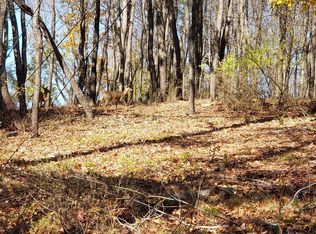 102 La Grange St, Binghamton, NY 13905