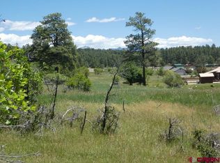 91 Caballero Dr, Pagosa Springs, CO 81147