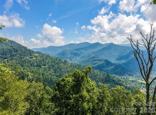 36 Cary Ln, Asheville, NC 28804