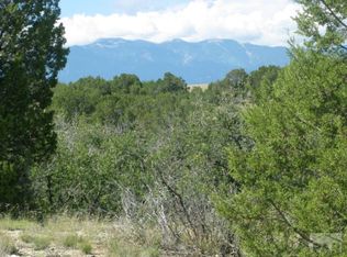 Par 39 Canyon Rim Dr, Rye, CO 81069