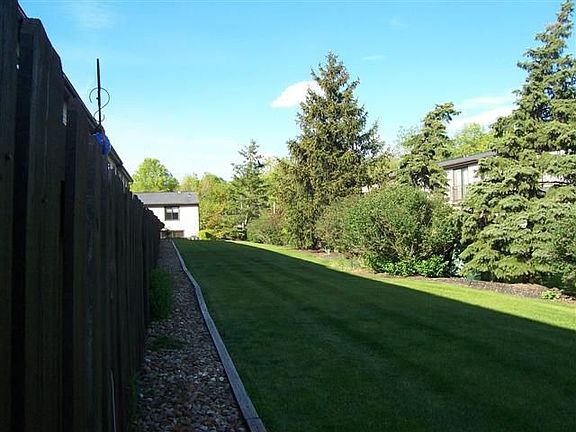 common area behind, dogs ok