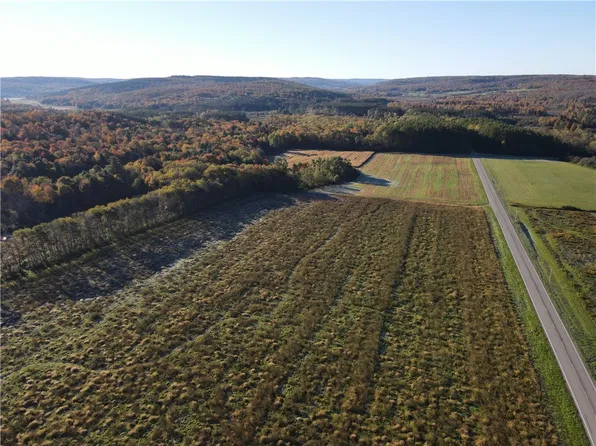 LOT 2 County Road 16 Lot 41, Swain, NY 14884