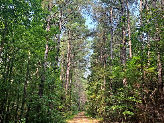 2nd image of McDade Rd