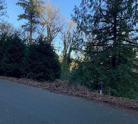 3rd image of 283 xx SE 146th Street
