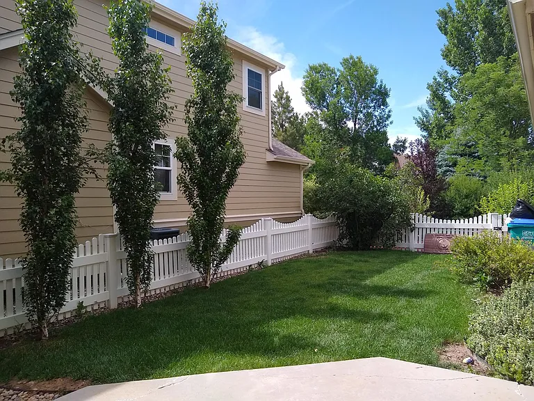 Backyard from Patio